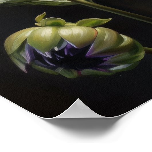 Lavendel Dahlia Flowers Art Print Poster (Hoek)