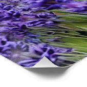 Lavendel dromen perfect poster (Hoek)