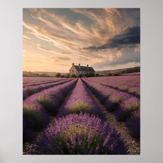Lavendel Dromen van Provence Poster (Voorkant)
