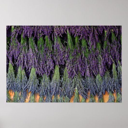 Lavendel droogrek poster (Voorkant)