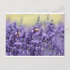Lavendel en bijen briefkaart