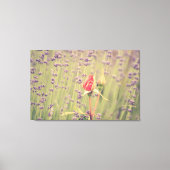 Lavendel en Roos Canvas Afdruk (Voorkant)