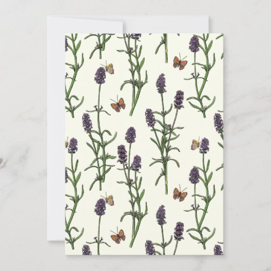 Lavendel en vlinders op gebroken wit (Voorkant)