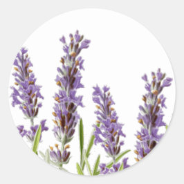 Lavendel Envelope Seal Sticker