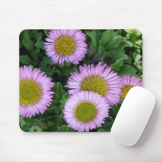  Lavendel Erigeron Flowers Muismat (Met muis)