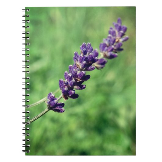 Lavendel Foto Spiraal Notebook Notitieboek (Voorkant)