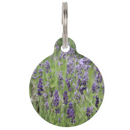 Lavendel halsbandlabel huisdierpenning