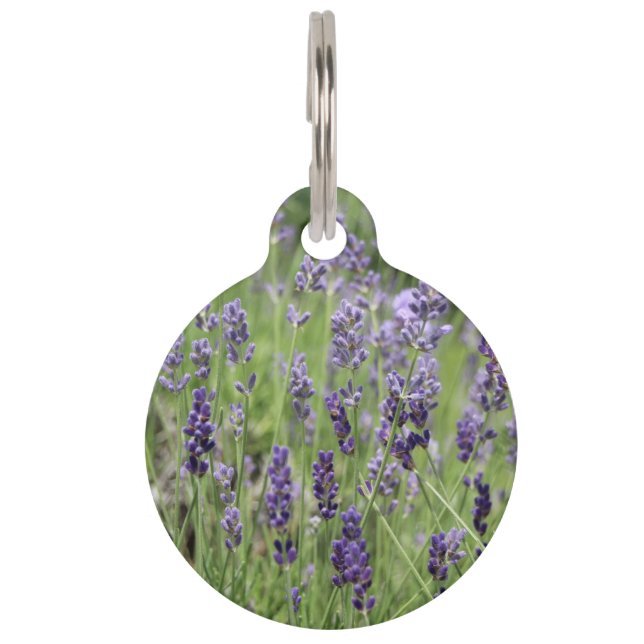 Lavendel halsbandlabel huisdierpenning (Voorkant)