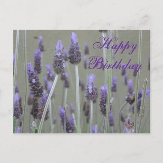 Lavendel Happy Birthday Briefkaart (Voorkant)