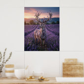 Lavendel Herten Schemering Veld Poster (Keuken)