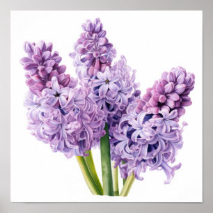Lavendel Hyacint Bloemenkunst Print Poster