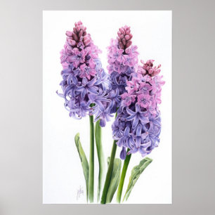 Lavendel Hyacint Bloemenkunst Print Poster