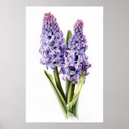 Lavendel Hyacint Bloemenkunst Print Poster (Voorkant)