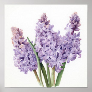 Lavendel Hyacint Bloemenkunst Print Poster