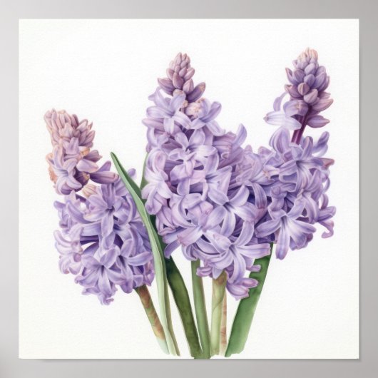 Lavendel Hyacint Bloemenkunst Print Poster (Voorkant)