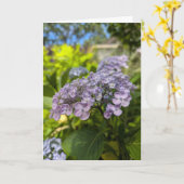 Lavendel Hydrangea Bloesems Kaart (Gele Bloem)