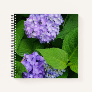 Lavendel Hydrangea Notitieboek
