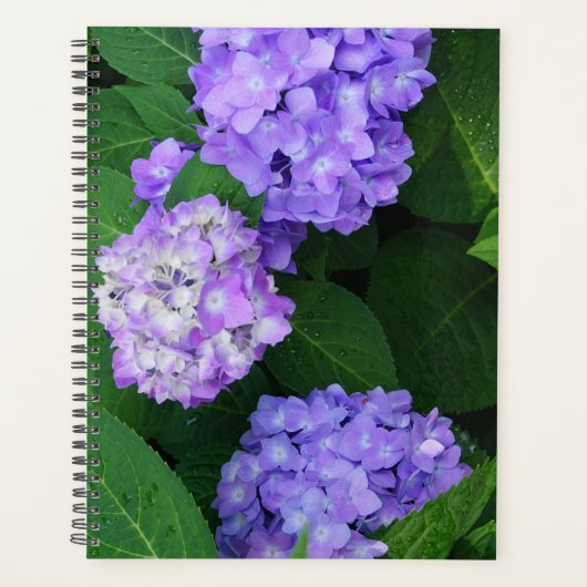 Lavendel Hydrangea Planner (Voorkant)