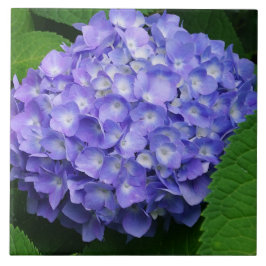 Lavendel Hydrangea Tegeltje