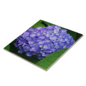 Lavendel Hydrangea Tegeltje (Zijkant)