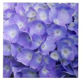 Lavendel Hydrangea Tegeltje