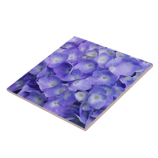 Lavendel Hydrangea Tegeltje (Zijkant)