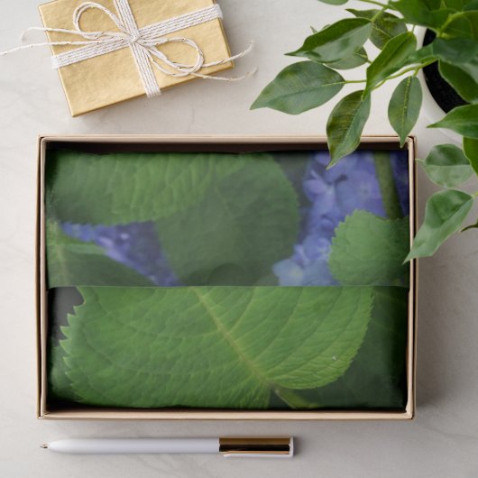 Lavendel Hydrangea Tissuepapier (Geschenk)