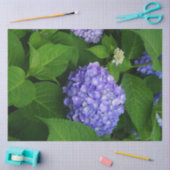 Lavendel Hydrangea Tissuepapier (Craft)