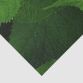Lavendel Hydrangea Tissuepapier (Detail)