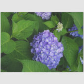 Lavendel Hydrangea Tissuepapier (Voorkant)