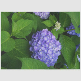 Lavendel Hydrangea Tissuepapier