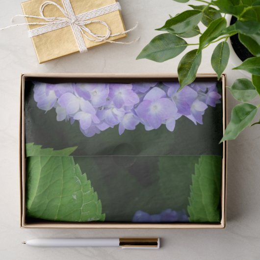 Lavendel Hydrangea Tissuepapier (Geschenk)