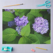 Lavendel Hydrangea Tissuepapier (Craft)