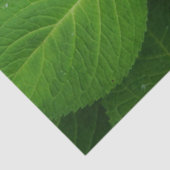 Lavendel Hydrangea Tissuepapier (Detail)