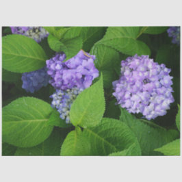 Lavendel Hydrangea Tissuepapier