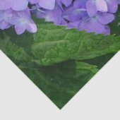 Lavendel Hydrangea Tissuepapier (Detail)