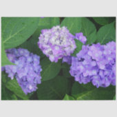 Lavendel Hydrangea Tissuepapier (Voorkant)