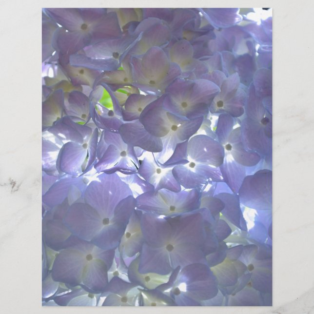 Lavendel Hydrangeas paarse bloemen (Voorkant)