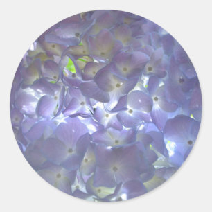 Lavendel Hydrangeas paarse bloemen Ronde Sticker