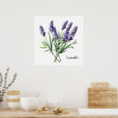 Lavendel Illustratie Botanische Poster (Keuken)