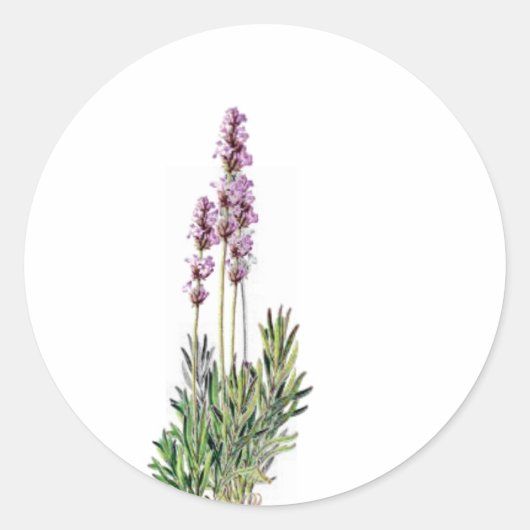 Lavendel in Bloom kaart / letter seal stickers (Voorkant)