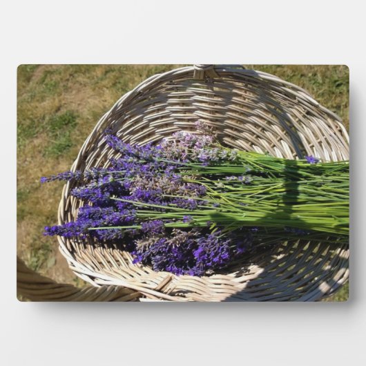 Lavendel in een mand fotoplaat (voorkant)