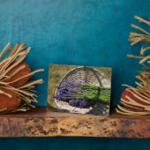 Lavendel in een mand fotoplaat (Zijkant)