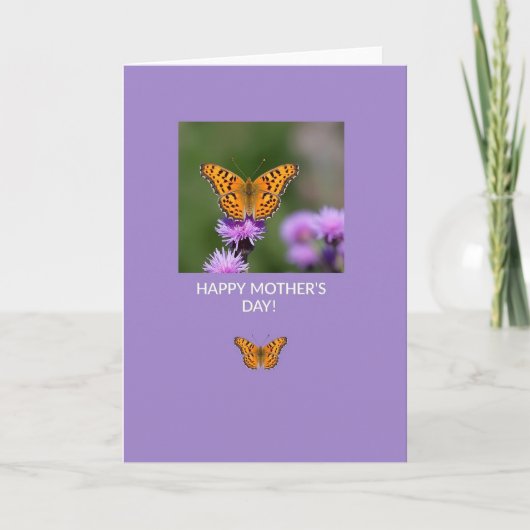 Lavendel Insecten Fotokaart Kaart (Voorkant)