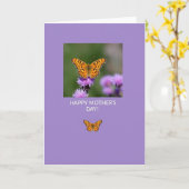 Lavendel Insecten Fotokaart Kaart (Gele Bloem)