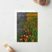 Lavendel & klaprozen notitiekaartje (Voorkant / Achterkant in situ)