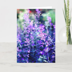 Lavendel, Klassieke fotografiekaart Kaart
