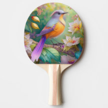Lavendel Kop Oranje Borst Fantasie Vogel