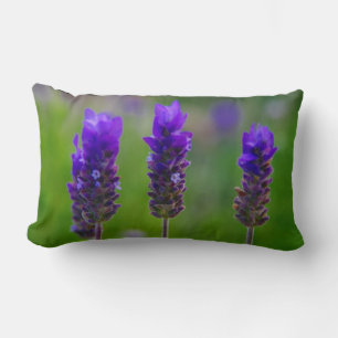 lavendel kussen