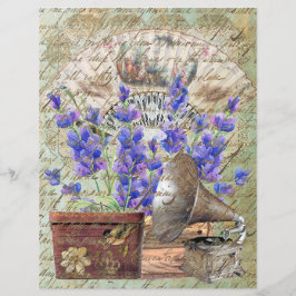  Lavendel Lace Fan Pet doos Gramophone